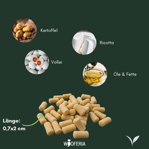 Ricotta Soft-Trainingssnack | 100g [DE]