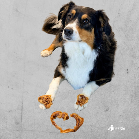 Schweine-Ohr Streifen | 200g [DE]